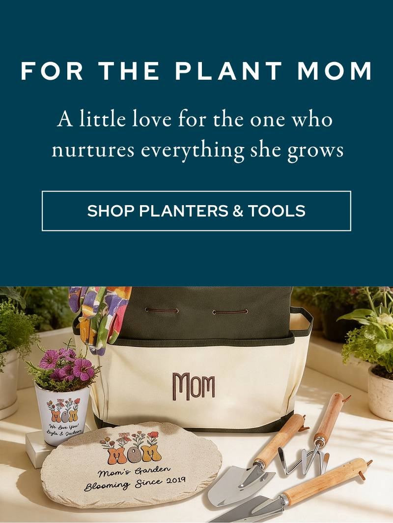 Shop Planters & Tools