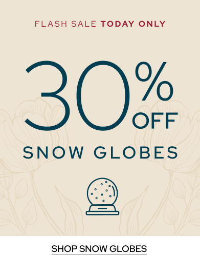 Snow Globe