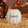 Product Thumbnail Small Cream Pumpkin