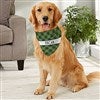 Product Thumbnail Large Dog Bandana