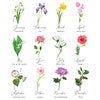 Product Thumbnail Birth Flower Chart