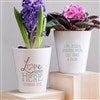 Product Thumbnail Mini Flower Pot