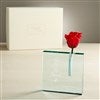 Product Thumbnail Bud Vase & Rose