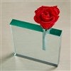 Rose in Vase