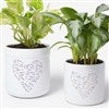 Product Thumbnail Large & Small (each sold separately)
