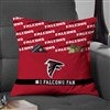Product Thumbnail 14 Inch Pillow