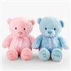 Product Thumbnail Pink & Blue Bear (Sold Individually)