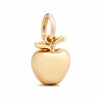 Product Thumbnail Gold Apple Charm