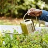Product Thumbnail Watering Can in Hand