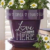 Purple Flower Pot