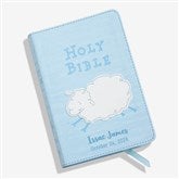Blue Bible