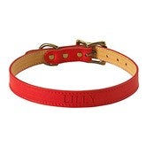 Small Dog Collar