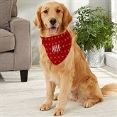 Large Dog Bandana