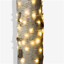 LED String Lights - 60 Count - 20935