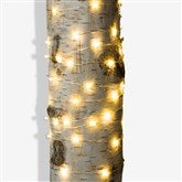 LED String Lights - 60 Count - 20935