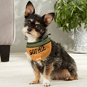 Happy Howl-oween Personalized Dog Bandana - Small - 13461