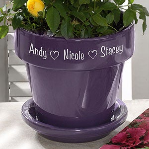 may flower seeds Malope Vulcan Flower Seeds – Nagel Gladiolus Bulbs