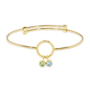 Custom Birthstone Charm Bangle Bracelet - 2 Stones - 47988D-2GD