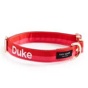 kate spade new york Embroidered Red  Pink Colorblock Collar - Medium/Large - 54174