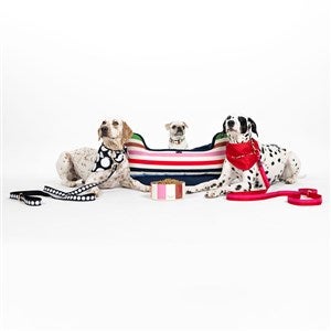 Embroidered Kate Spade Adventure Stripe Pet Bed