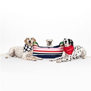 Embroidered Kate Spade Adventure Stripe Pet Bed