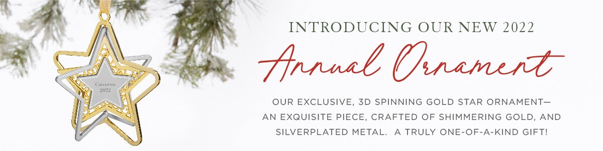 premium ornament banner