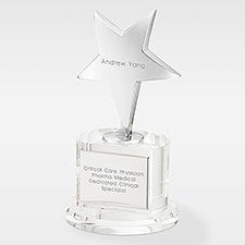 Engraved Crystal and Silver Star Professional Award  - 41677