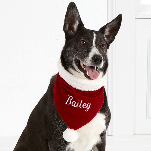 Personalized Velvet Christmas Dog Bandana - Santa Paws - 15608