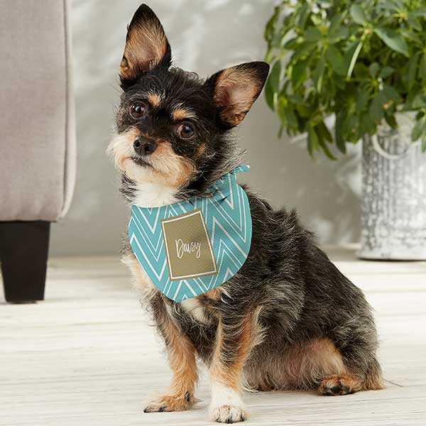 Pattern Play Personalized Dog Bandanas - 27314