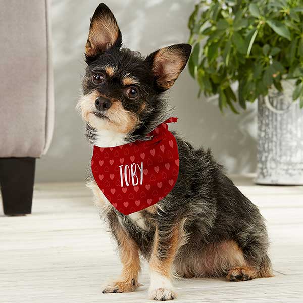 Puppy Heart Personalized Valentine's Day Dog Bandanas - 29310