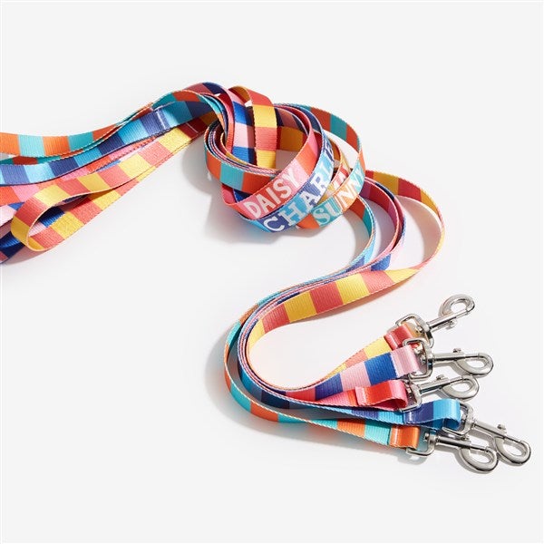 Bold Stripe Personalized Dog Leash  - 54887
