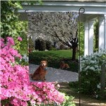 customer testimonial image