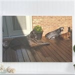 customer testimonial image