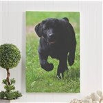 customer testimonial image