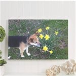 customer testimonial image