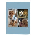 customer testimonial image