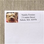 customer testimonial image