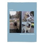 customer testimonial image