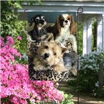 customer testimonial image