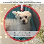 customer testimonial image