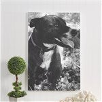 customer testimonial image