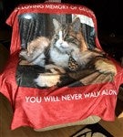 customer testimonial image