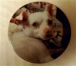 customer testimonial image