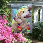 customer testimonial image