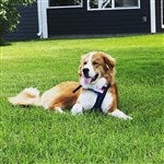 customer testimonial image