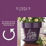 customer testimonial image