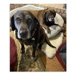 customer testimonial image