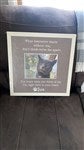 customer testimonial image