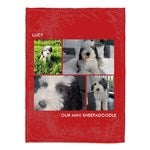 customer testimonial image