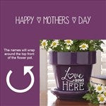 customer testimonial image